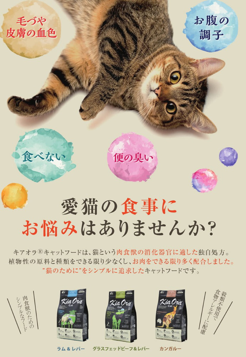 キアオラ/Kia Ora [猫用] wildカンガルー900g 総合栄養食【賞味期限