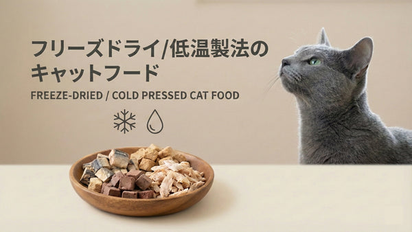 フリーズドライ&低温製法のキャットフード