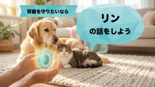 腎臓を守りたいなら、「リン」の話をしよう！
