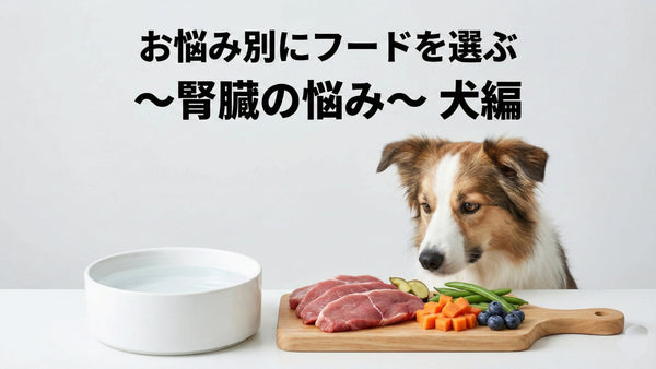 腎臓ケアしたい愛犬の食事 〜お悩み別にフードを選ぶ〜 [腎臓トラブル 犬編]