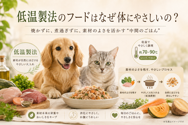 低温製法のフードはなぜ体にやさしいの？