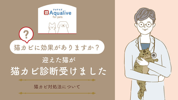 アクアリブfor Petsは猫カビに効果がありますか？