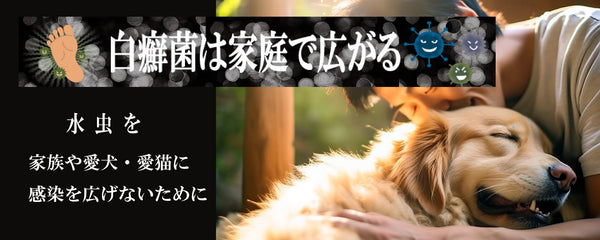 飼い主様の水虫対処法