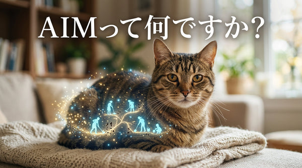 AIMって何ですか？