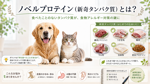 ノベルプロテイン( 新奇タンパク質)って何ですか？