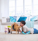 フロンティアペッツ [猫用] ラム＆天然フィッシュ100g 生食 フリーズドライ グレインフリー グラスフェッド 牧草飼育 ビーフトライプ 高タンパク 低炭水化物 BARFレシピ NonーGMO 生物学的に適した生食 ホールフード【賞味期限2027年2月13日】