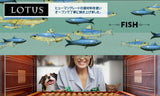 ロータス キャット グレインフリー フィッシュレシピ 1.2kg【賞味期限2026年11月06日】