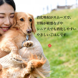 Le Chien/ ルシアン ドッグフード フィッシュwith緑イ貝 50g 国産鱈(タラ) 低温製法 総合栄養食 無添加 国産 消化にやさしい 吸収しやすい AGEs(終末糖化産物)生成抑制 嘔吐 胃捻転 肉アレルギー 緩やかな血糖変動 満腹感持続【賞味期限2026年10月27日】【ネコポス190円】