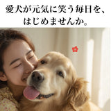 Le Chien/ ルシアン ドッグフード フィッシュwith緑イ貝 50g 国産鱈(タラ) 低温製法 総合栄養食 無添加 国産 消化にやさしい 吸収しやすい AGEs(終末糖化産物)生成抑制 嘔吐 胃捻転 肉アレルギー 緩やかな血糖変動 満腹感持続【賞味期限2026年10月27日】【ネコポス190円】