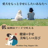 Le Chien/ ルシアン ドッグフード フィッシュwith緑イ貝 50g 国産鱈(タラ) 低温製法 総合栄養食 無添加 国産 消化にやさしい 吸収しやすい AGEs(終末糖化産物)生成抑制 嘔吐 胃捻転 肉アレルギー 緩やかな血糖変動 満腹感持続【賞味期限2026年10月27日】【ネコポス190円】