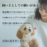 Le Chien/ ルシアン ドッグフード フィッシュwith緑イ貝 50g 国産鱈(タラ) 低温製法 総合栄養食 無添加 国産 消化にやさしい 吸収しやすい AGEs(終末糖化産物)生成抑制 嘔吐 胃捻転 肉アレルギー 緩やかな血糖変動 満腹感持続【賞味期限2026年10月27日】【ネコポス190円】
