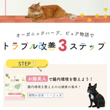 ピュア物語 『お腸美人』 ［メール便発送のため配送日時指定 ・代引き不可］