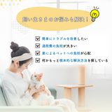 ピュア物語 『お腸美人』 ［メール便発送のため配送日時指定 ・代引き不可］