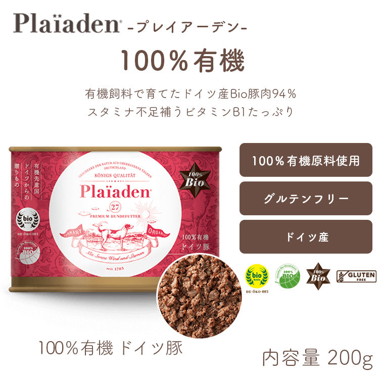 プレイアーデン – ルシアン
