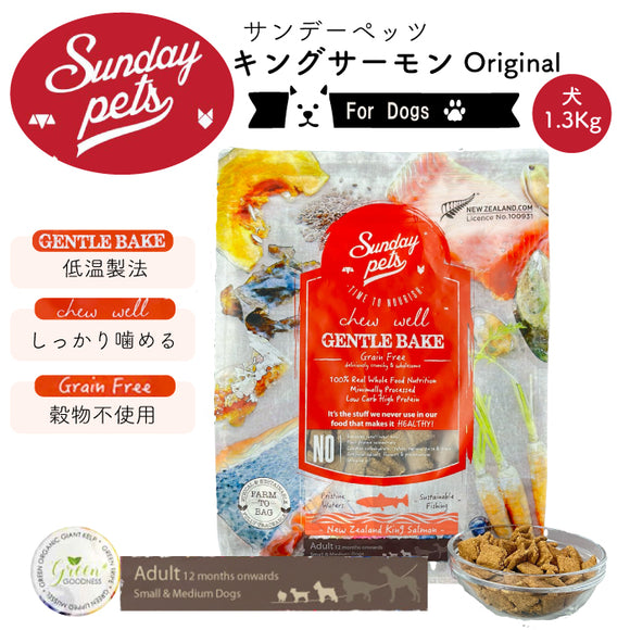 Sunday Pets キングサーモン【犬用1.3kg】 サンデーペッツ ジェントルベイク 低温製法 ドッグフード グレインフリー グリーントライプ 緑イ貝消 化吸収 トレーサビリティー【賞味期限2026年10月10日】