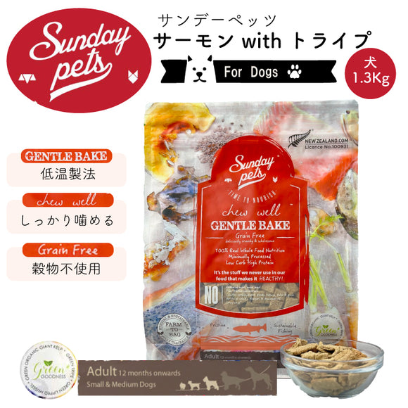 Sunday Pets サーモンwithトライプ【犬用1.3kg】 サンデーペッツ ジェントルベイク 低温製法 ドッグフード グレインフリー グリーントライプ 緑イ貝消 化吸収 トレーサビリティー【賞味期限2026年10月23日】