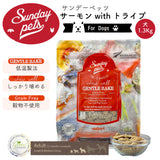 Sunday Pets サーモンwithトライプ【犬用1.3kg】 サンデーペッツ ジェントルベイク 低温製法 ドッグフード グレインフリー グリーントライプ 緑イ貝消 化吸収 トレーサビリティー【賞味期限2026年10月23日】