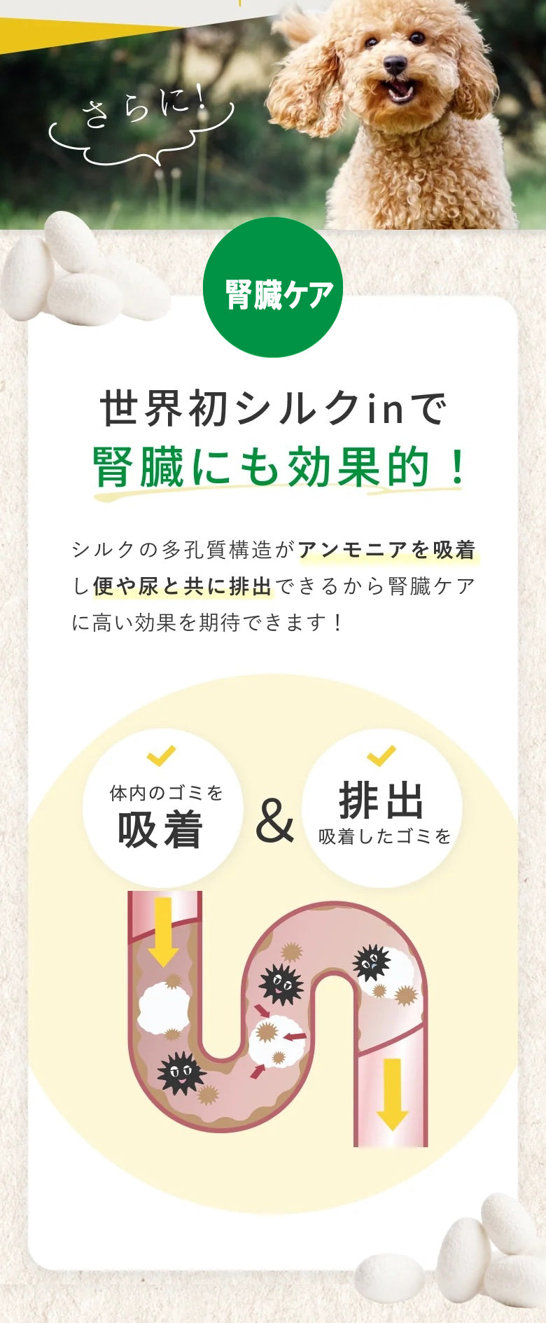 kednycare_2048x.jpg?v=1736931106