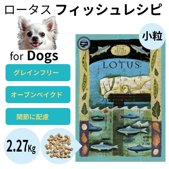 新商品 – ルシアン