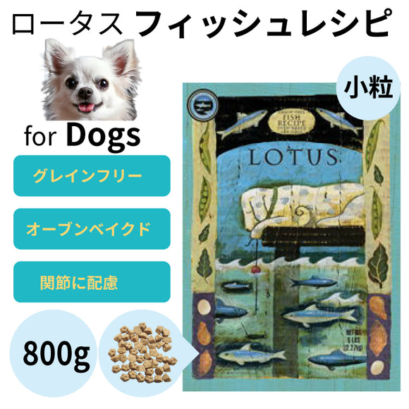LOTUS グレインフリー フィッシュレシピ 小粒 800g 3袋 犬用品 LOTUS グレインフリー フィッシュレシピ 小粒 800g