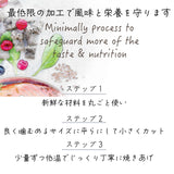 Sunday Pets ホキwithトライプ【猫用1.3kg】サンデーペッツ ジェントルベイク キャットフード 低温製法 グレインフリー グリーントライプ 緑イ貝消 化吸収 トレーサビリティー【賞味期限2026年9月28日】