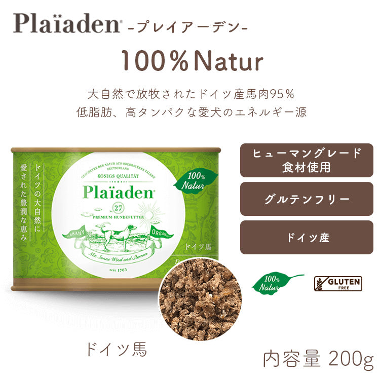 プレイアーデン – ルシアン