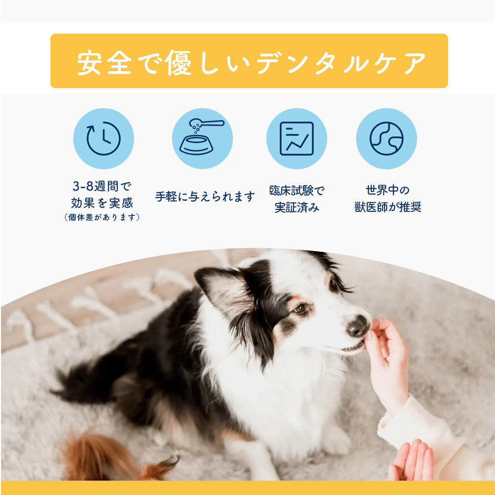 プロデン デンタルケア パウダー 【犬用】 40g×2個セット – ルシアン
