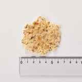 瀬戸内海産 ふんわり焼きちりめん さば 8g White Fox/ホワイトフォックス