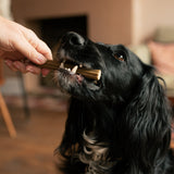 トライバル デンタルスティック 13g×7本入り  【賞味期限2026年8月1日】［メール便290円 /配送日時指定NG / 代引き不可］