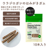 ホワイトフォックス ウラジロガシのはみがきガム 10本入り 愛犬用 青パパイヤ配合［追跡メール便290円］