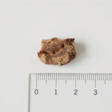 white fox/ホワイトフォックス [犬・猫用]  北海道産 エゾ鹿のフリーズドライ 30g  [メール便290円]