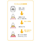 ホワイトフォックス マヌカハニーのはみがきガム 10本入り 愛犬用 青パパイヤ配合［追跡メール便290円］