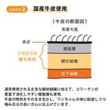 ホワイトフォックス マヌカハニーのはみがきガム 10本入り 愛犬用 青パパイヤ配合［追跡メール便290円］