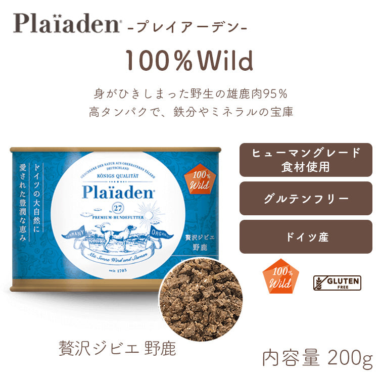 プレイアーデン – ルシアン